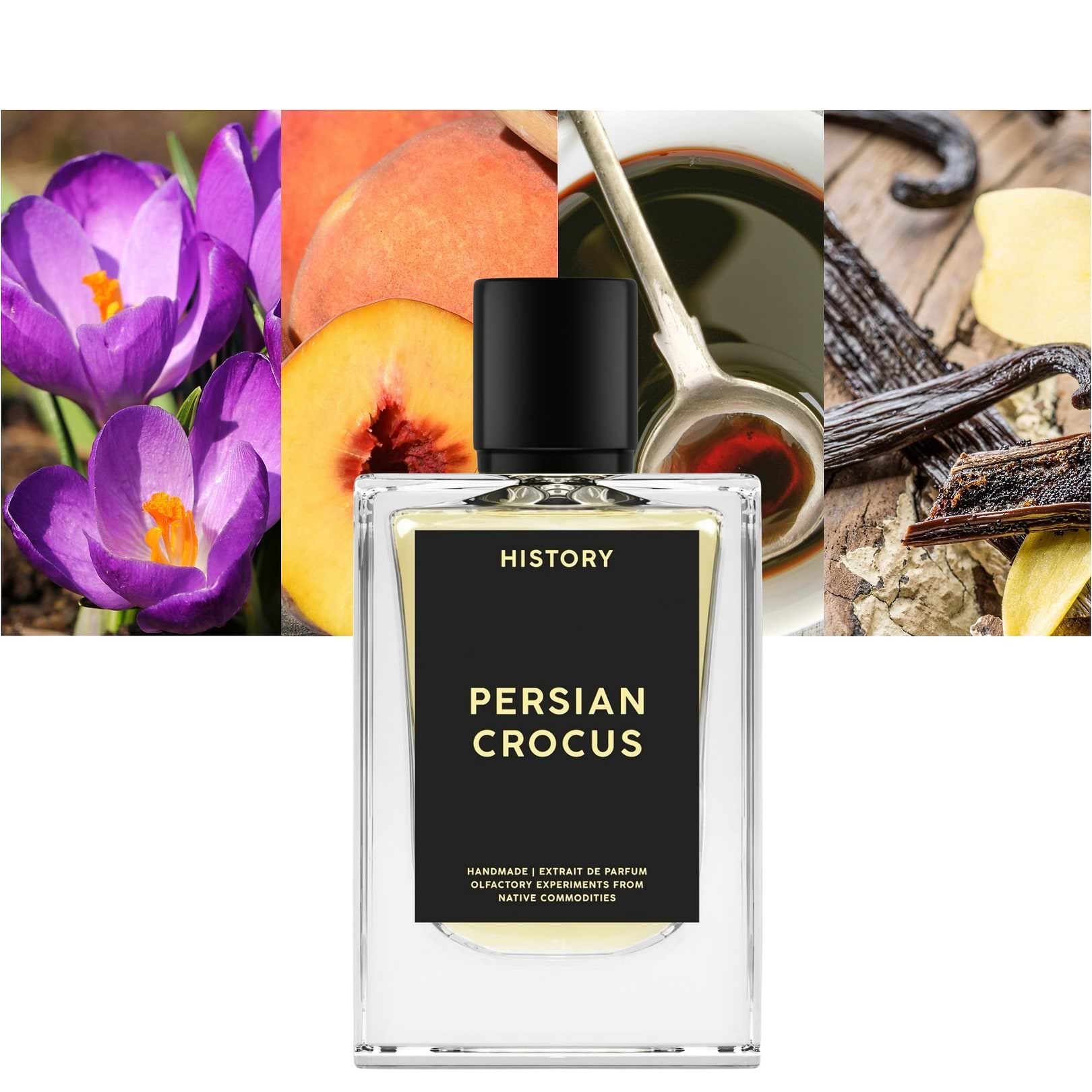 Persian Crocus