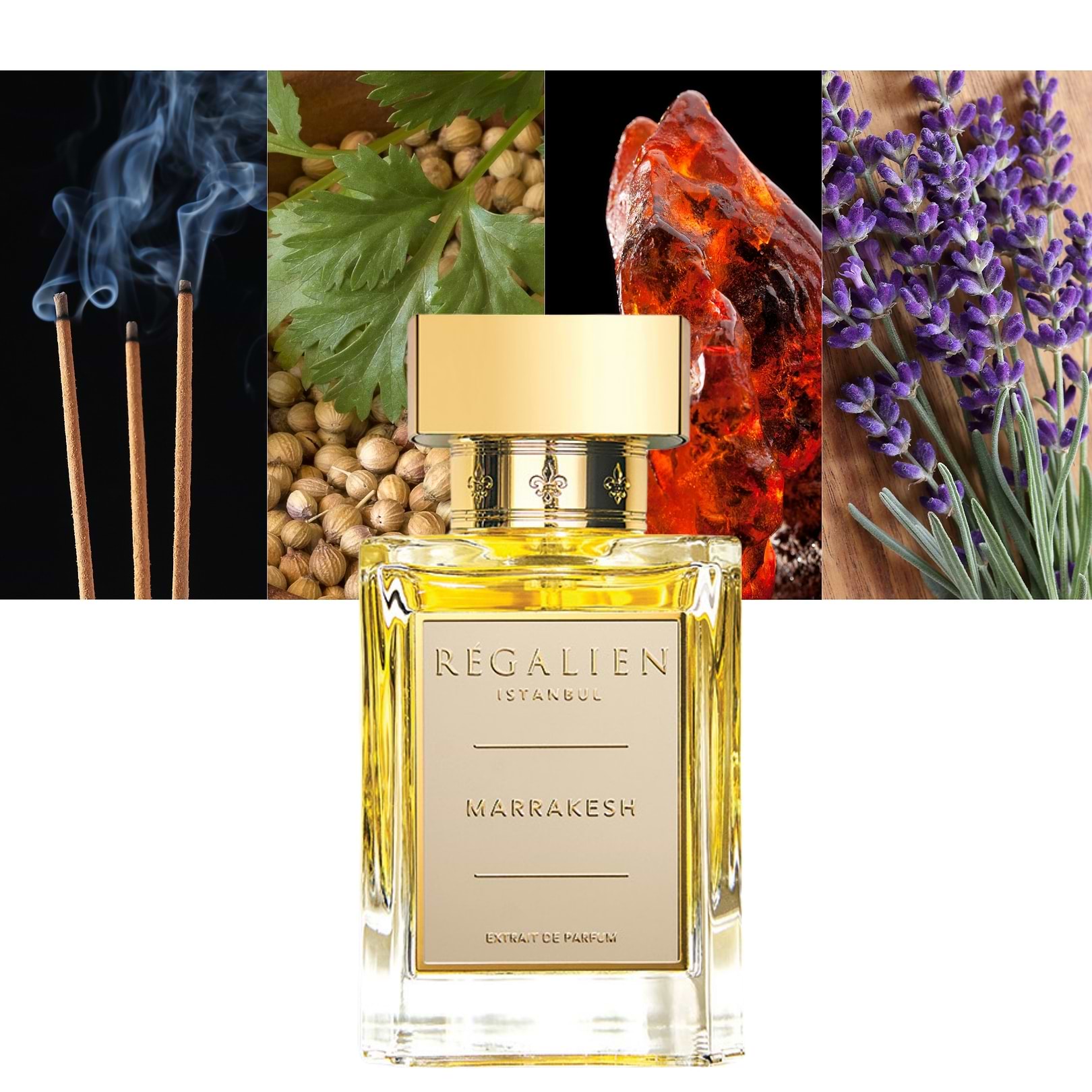 Regalien Marrakesh-This Is Class & Beauty Put Into A Bottle