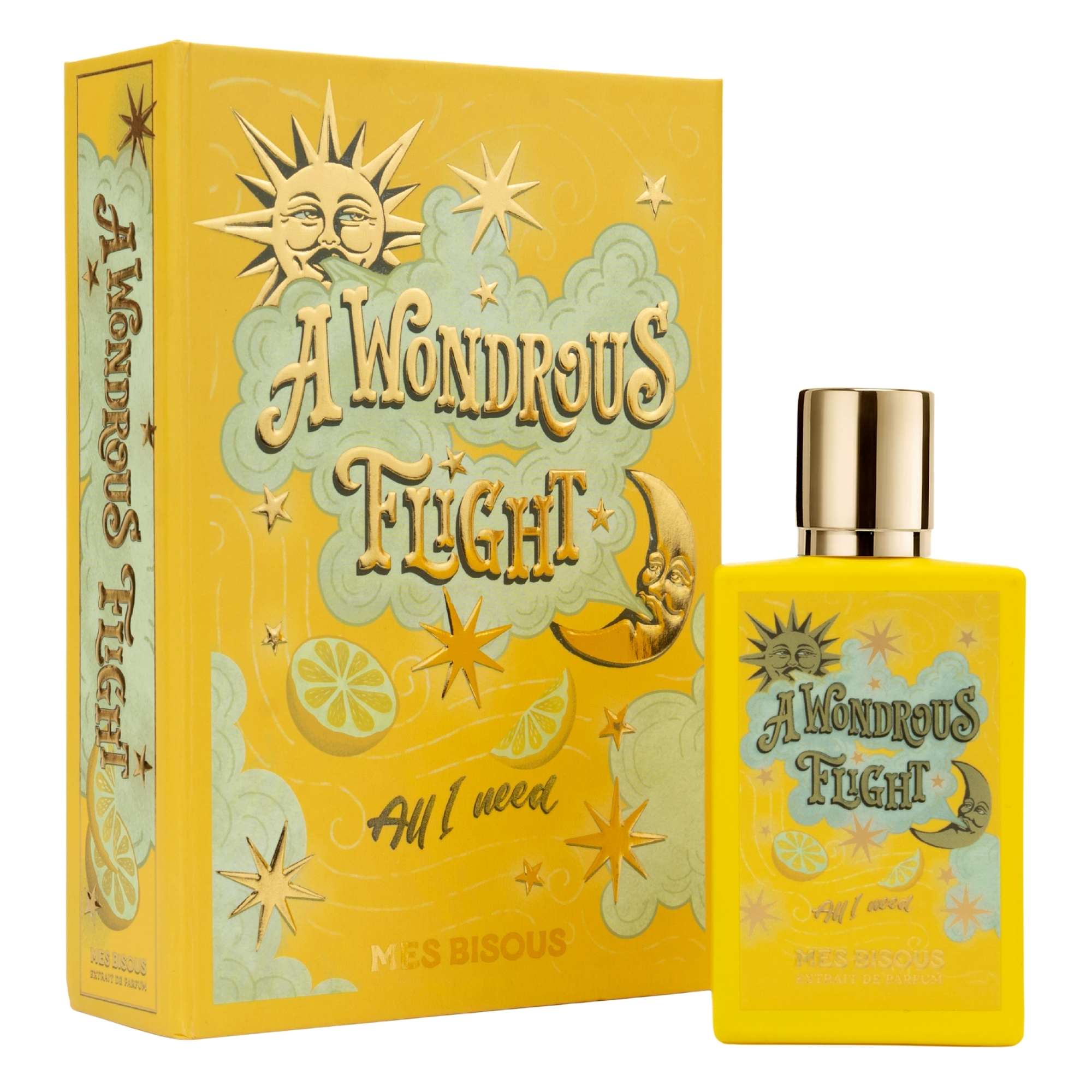 A Wondrous Flight