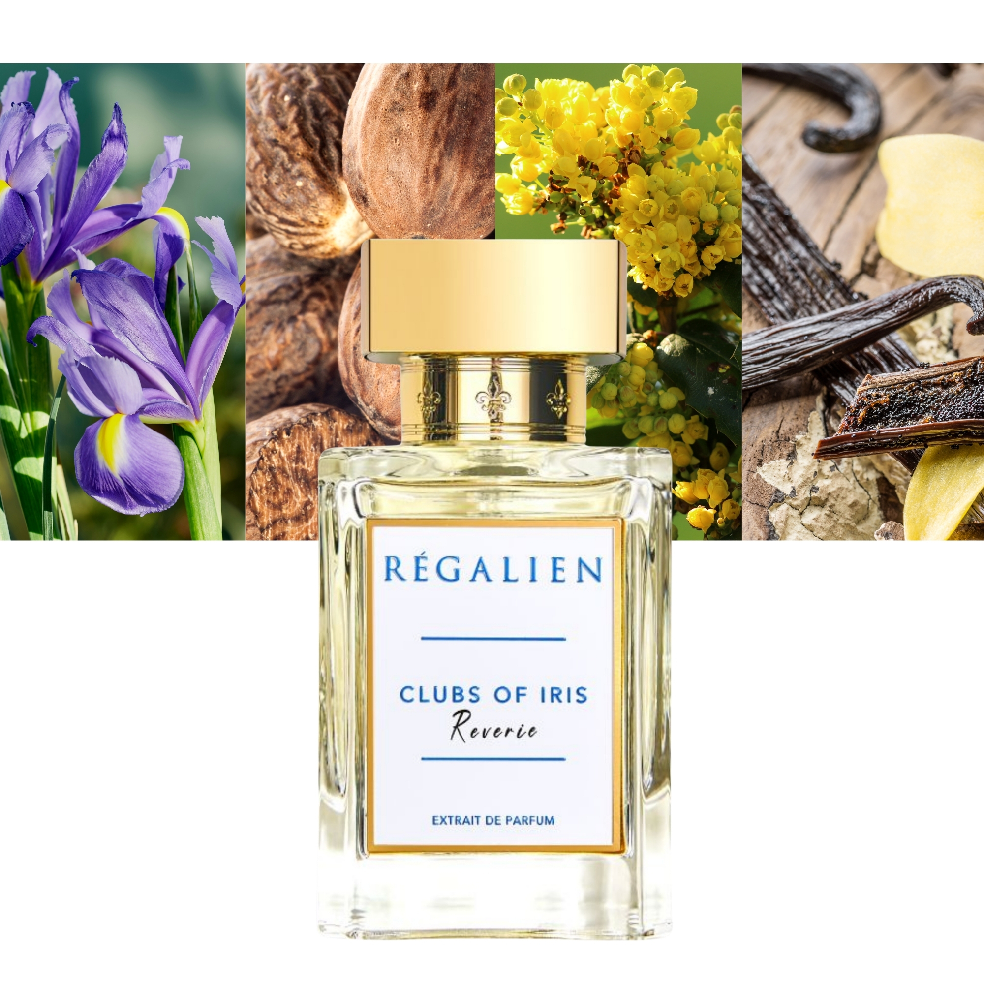 Clubs of Iris Reverie