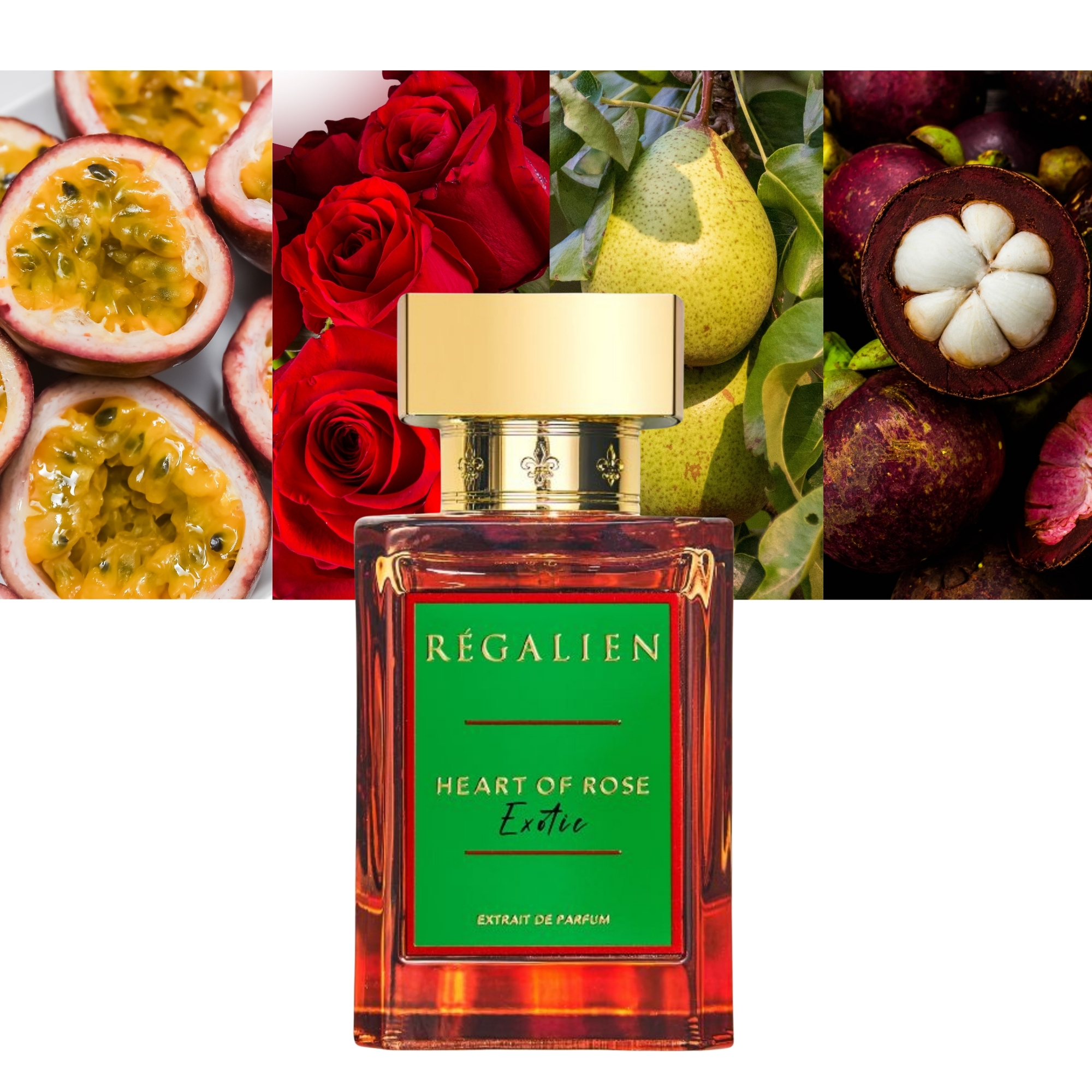 Heart of Rose Exotic