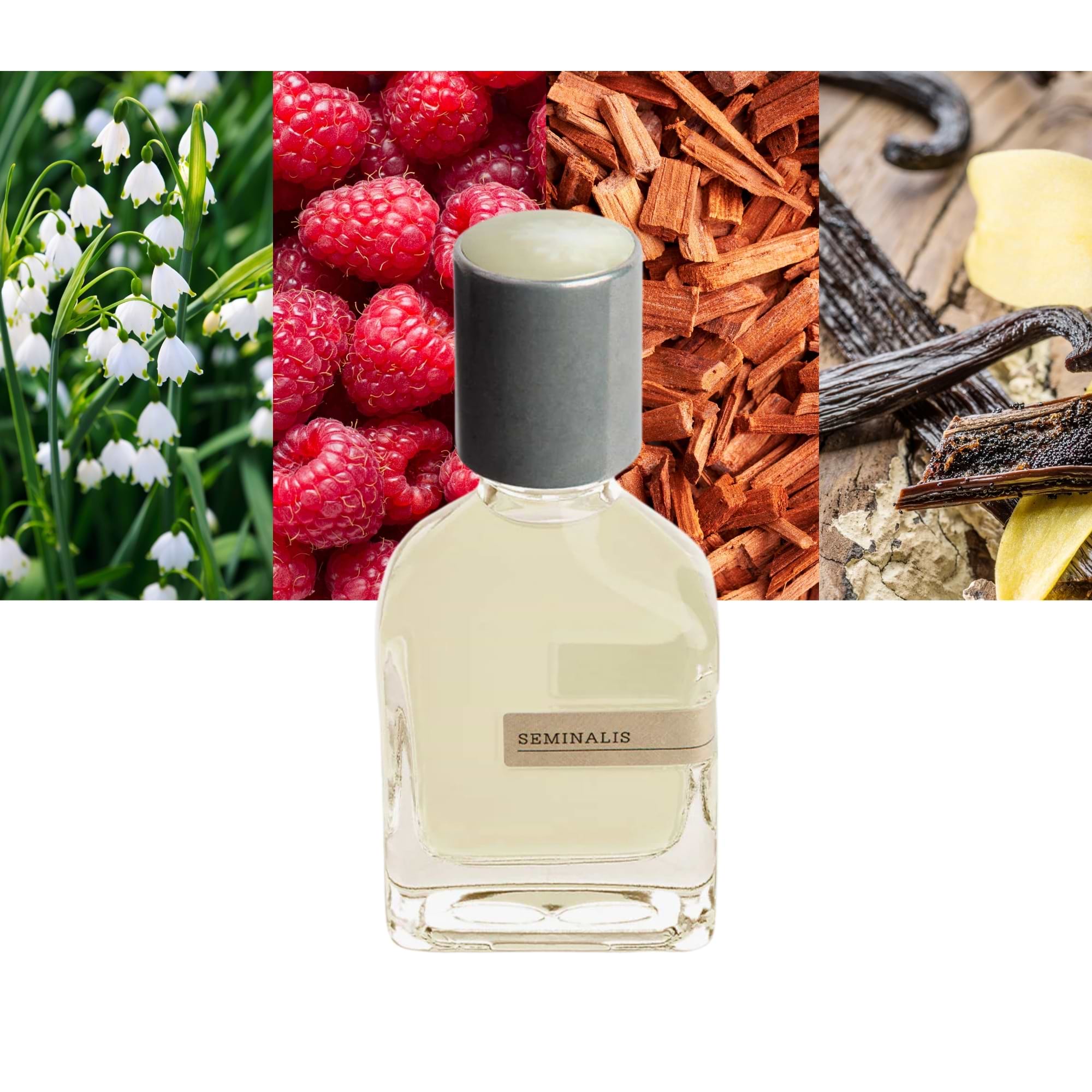 Unforgettable Allure Awaits With Orto Parisi Seminalis