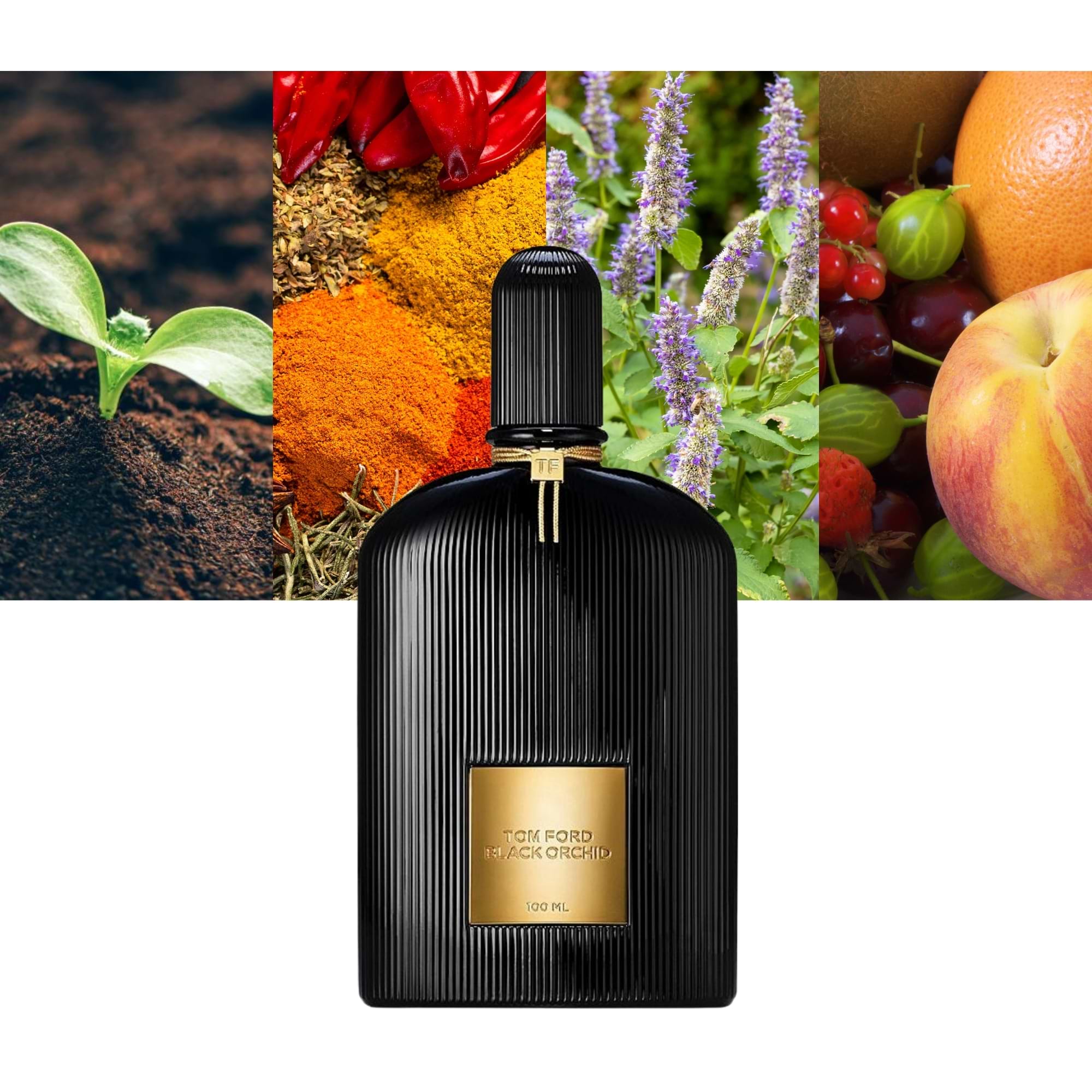 Tom Ford Black Orchid-A Must-Have for Fragrance Aficionados