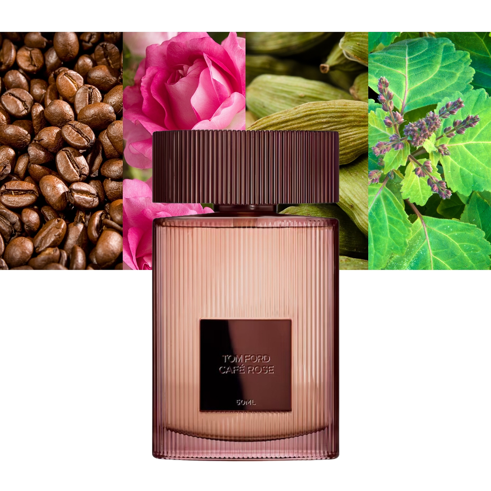 tobacco rose tom ford Cafe 1.7oz Eau de Parfum Oriental Floral Perfume for Women the perfume is illuminated by its the woody base Rose Exposed Eau de Parfum