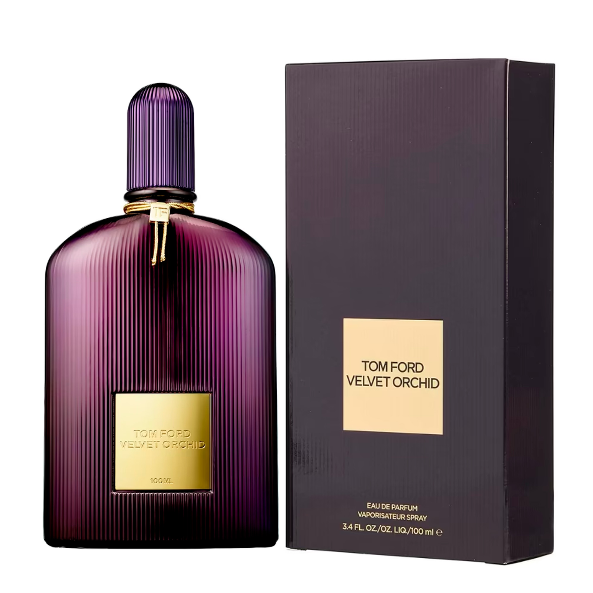 Velvet Orchid