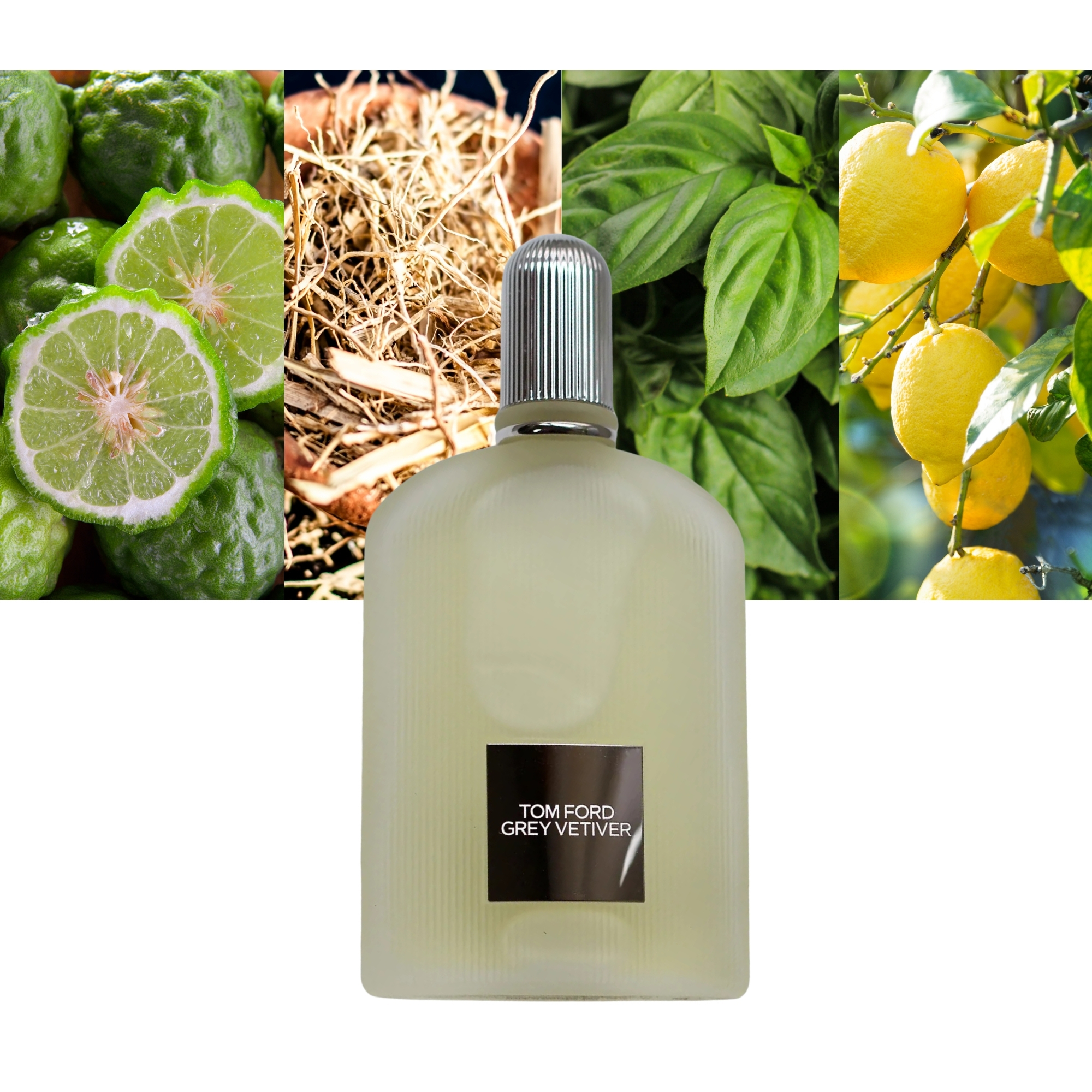 Grey Vetiver