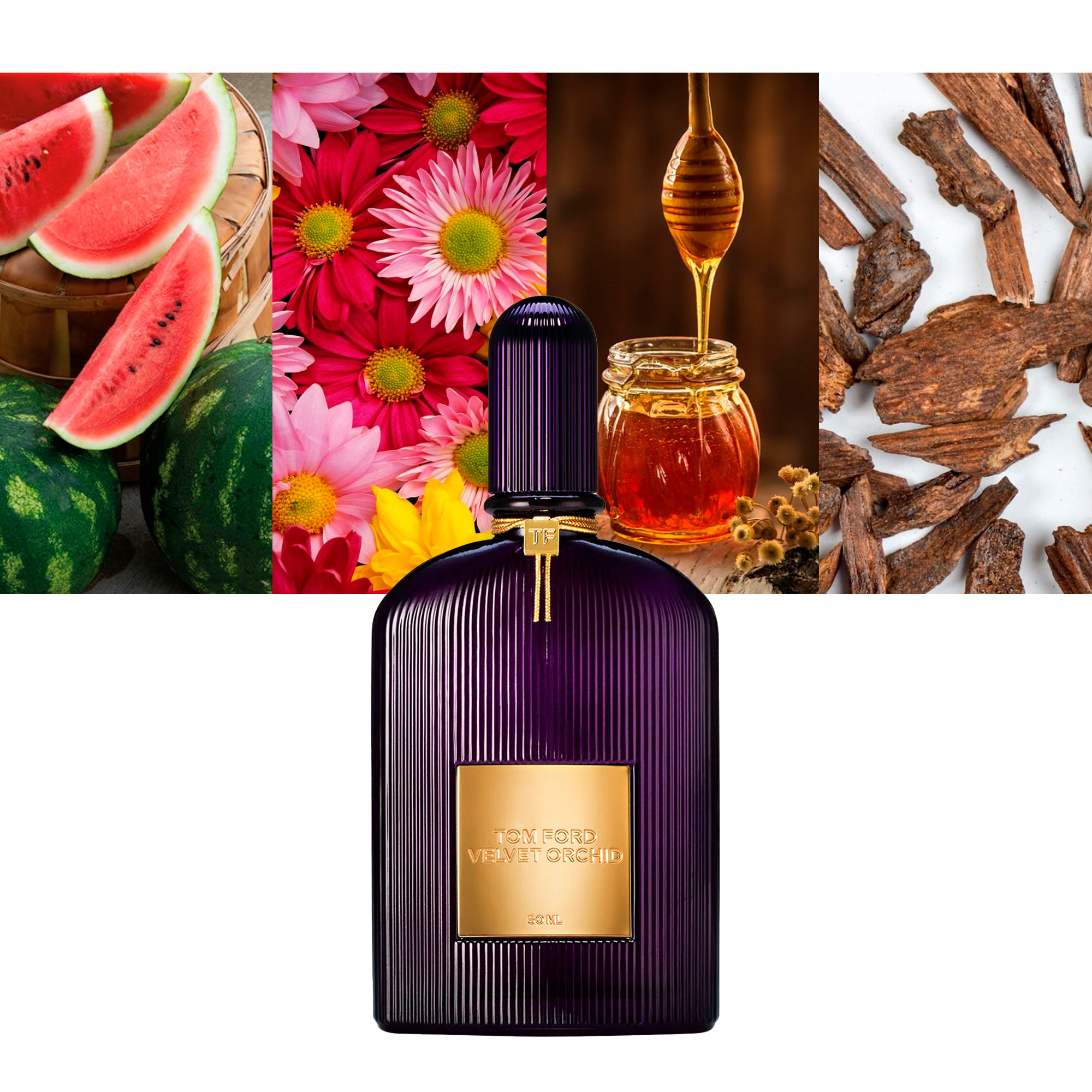 Velvet Orchid Lumiere