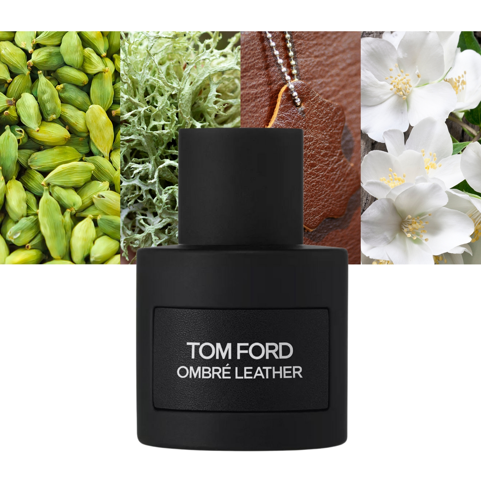 Step into a World of Refined Sensuality-Tom Ford Ombre Leather