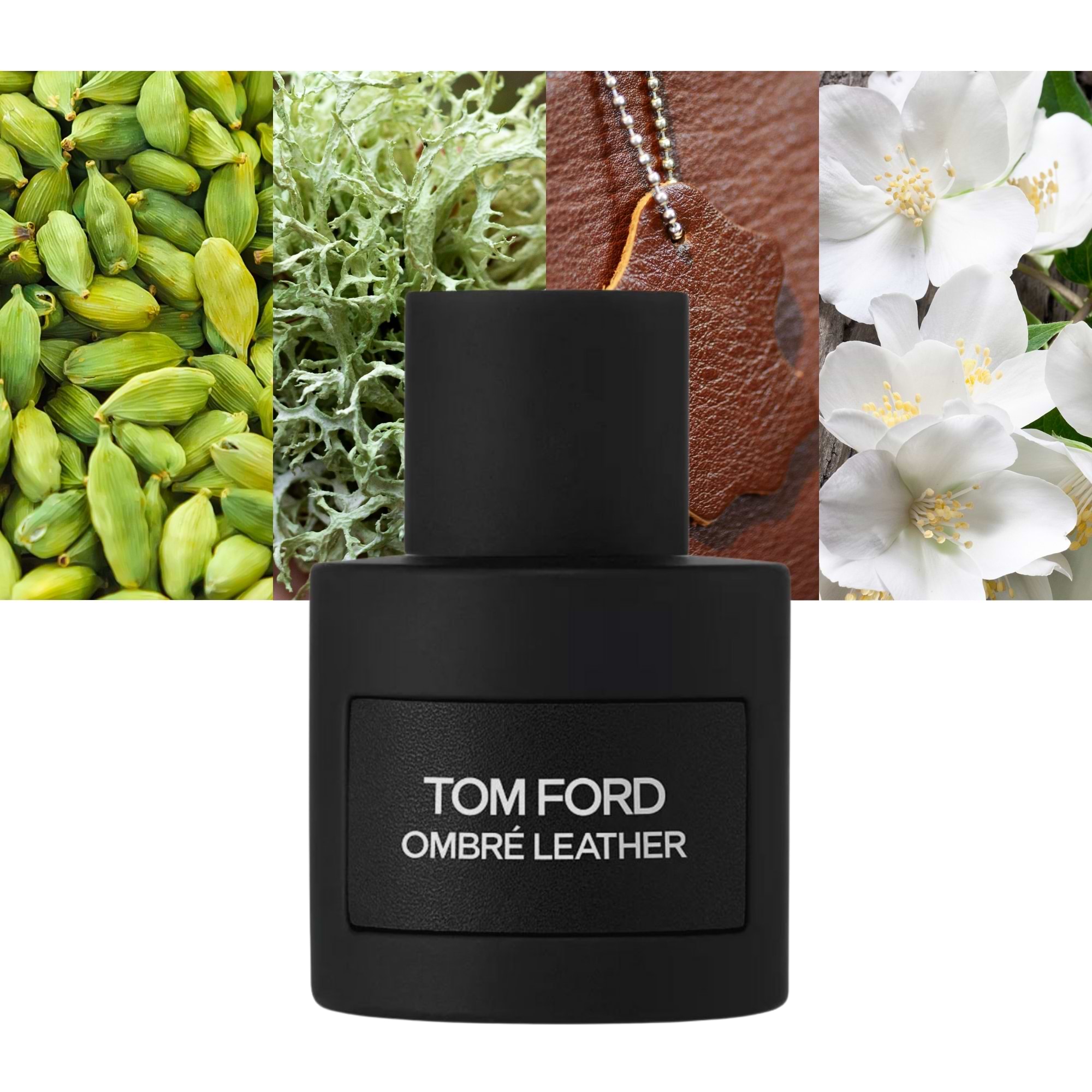 Step into a World of Refined Sensuality-Tom Ford Ombre Leather