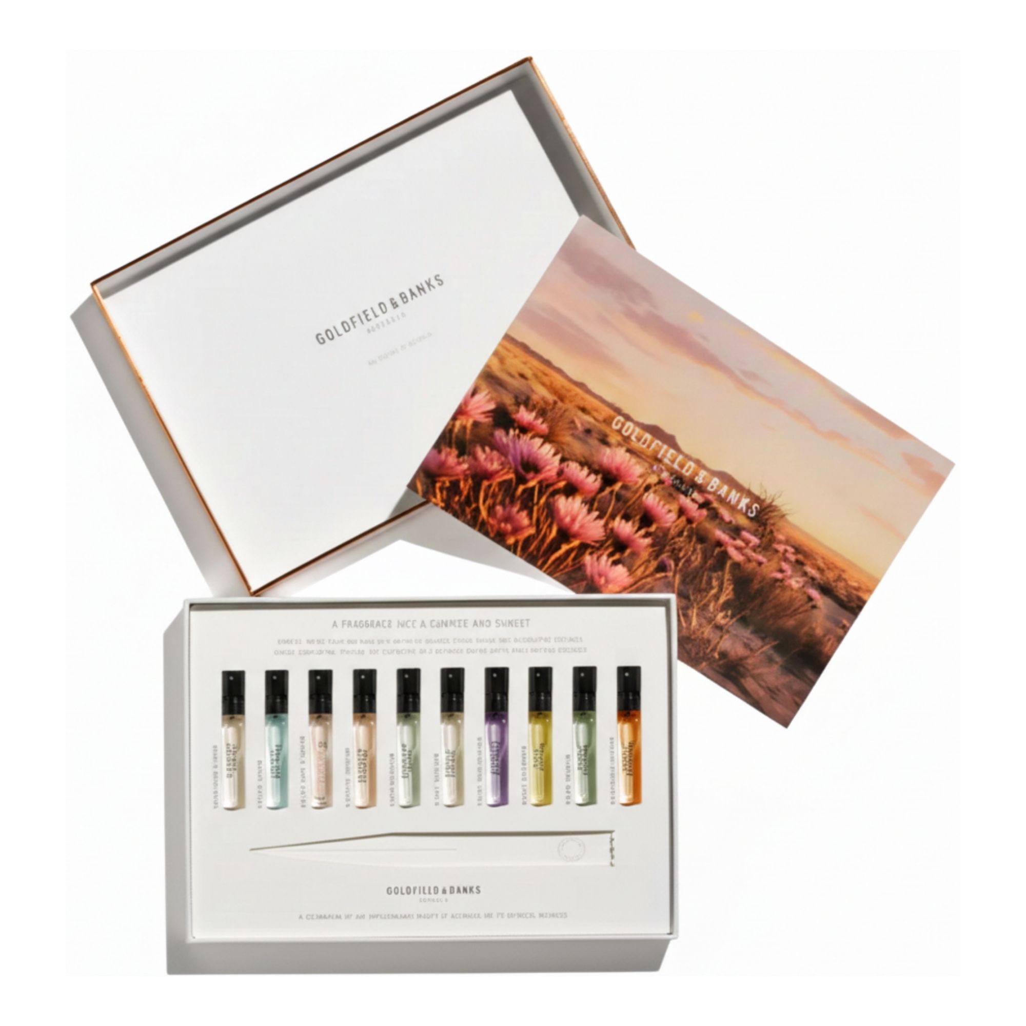 Goldfield & Banks Discovery Sample Collection