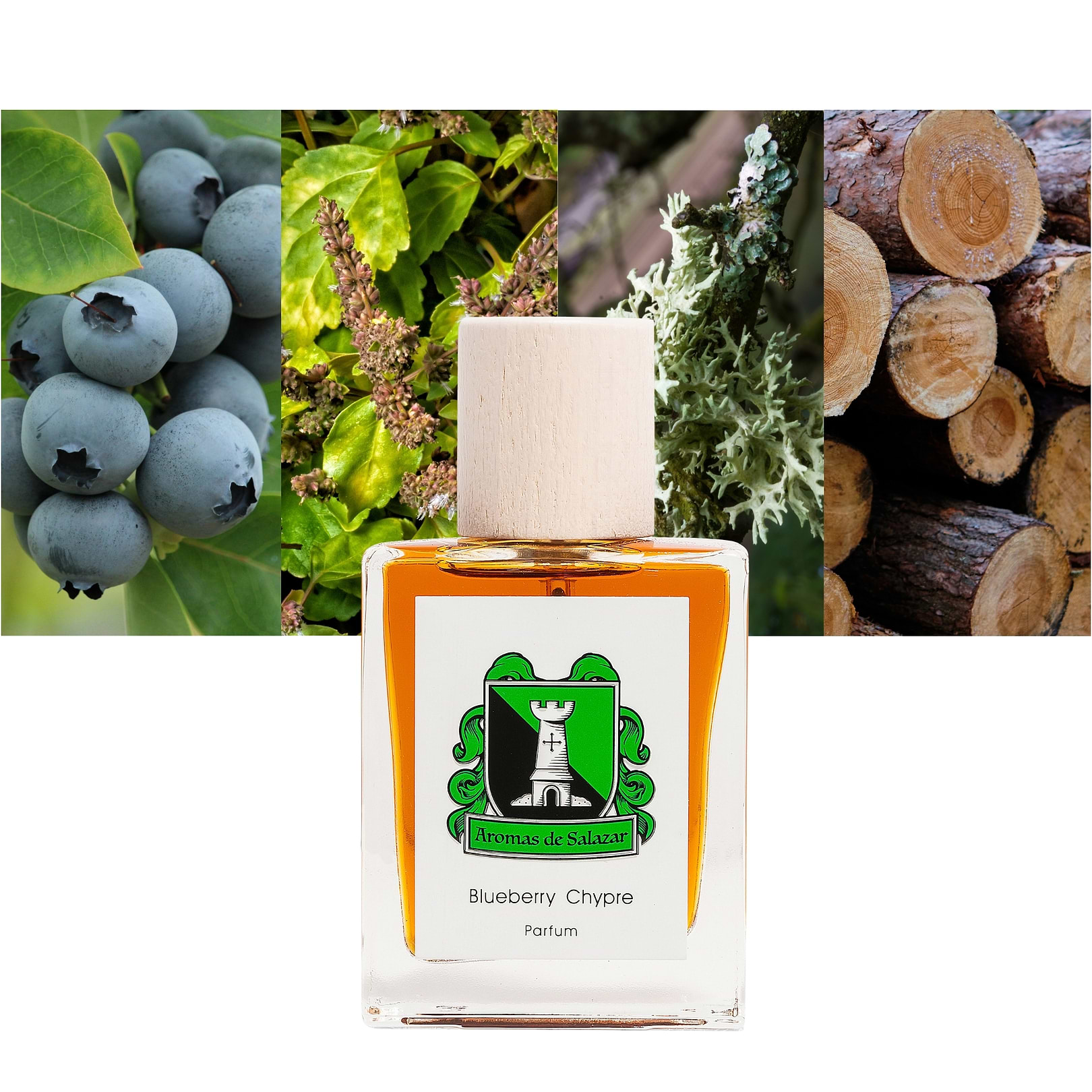 Blueberry Chypre