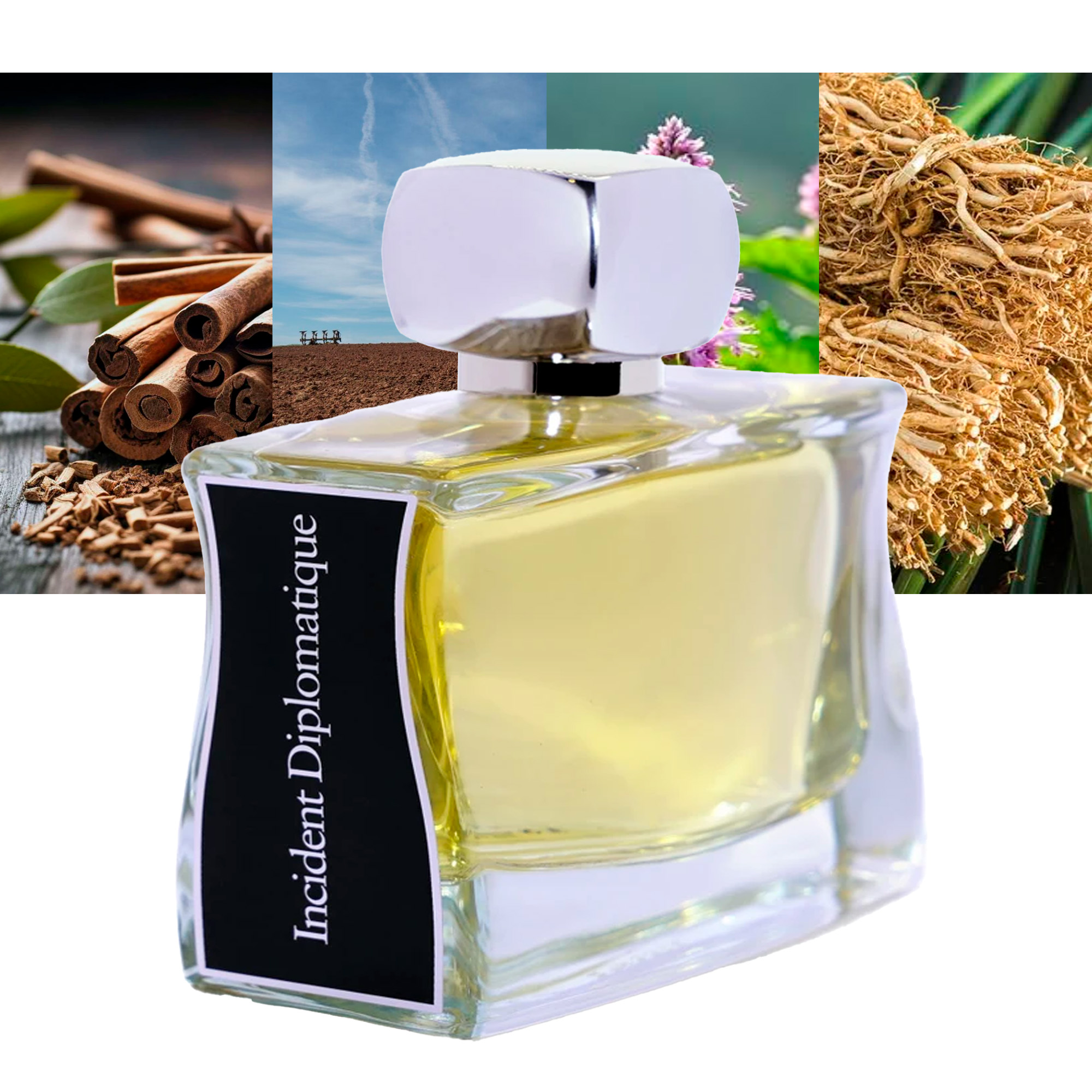 Incident Diplomatique