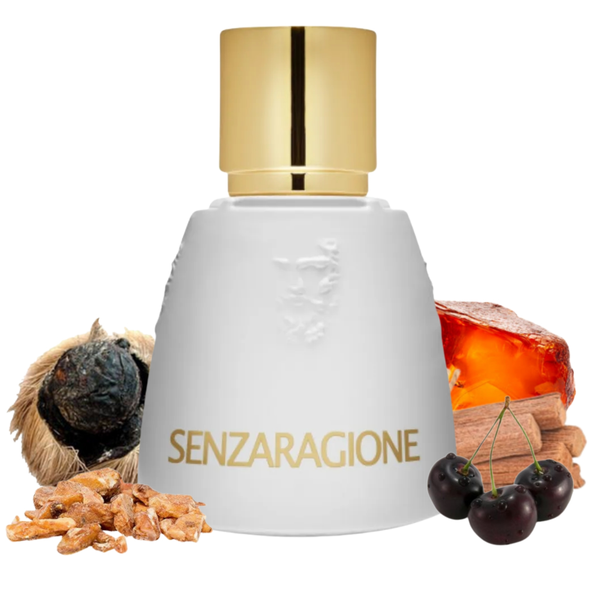Senzaragione