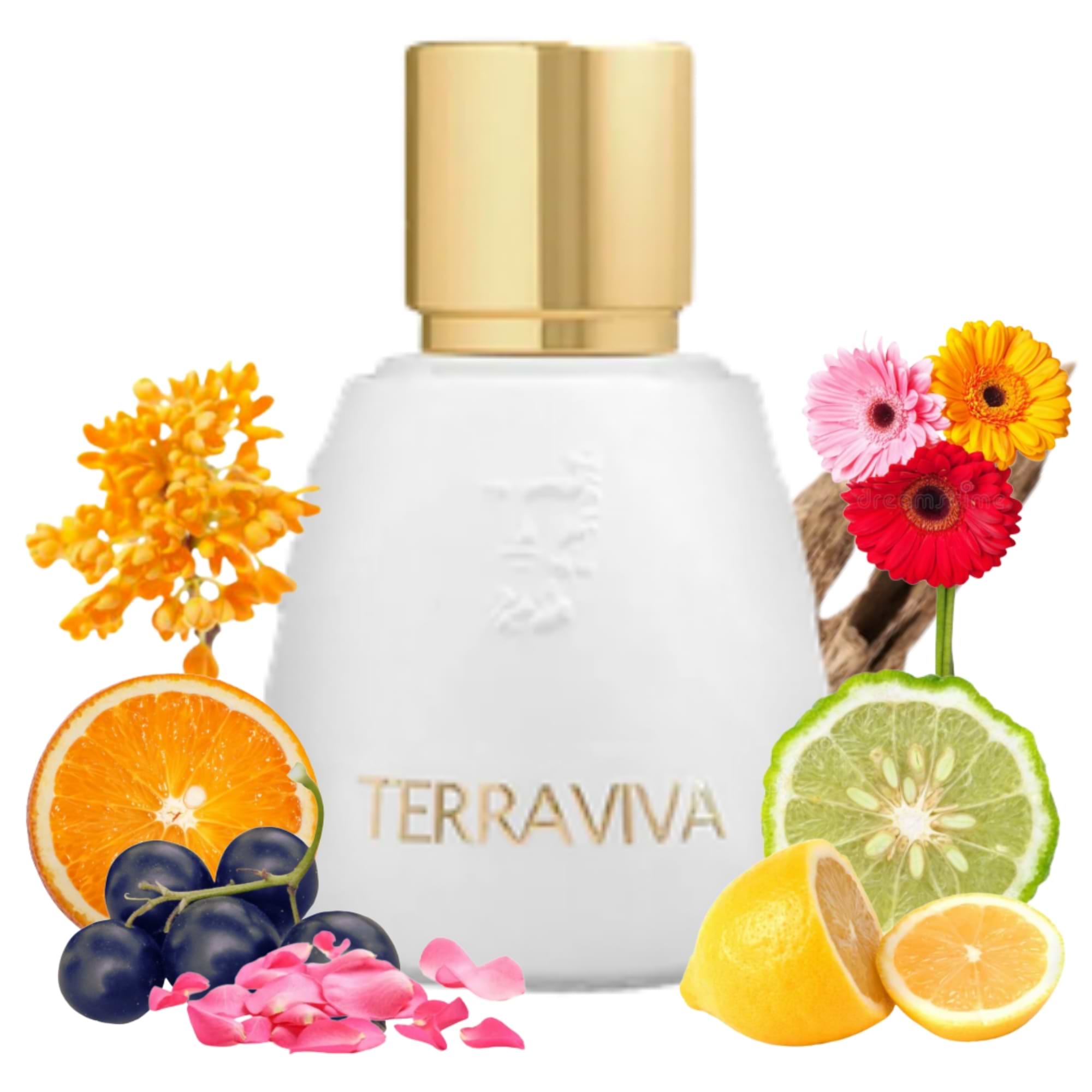 Terraviva