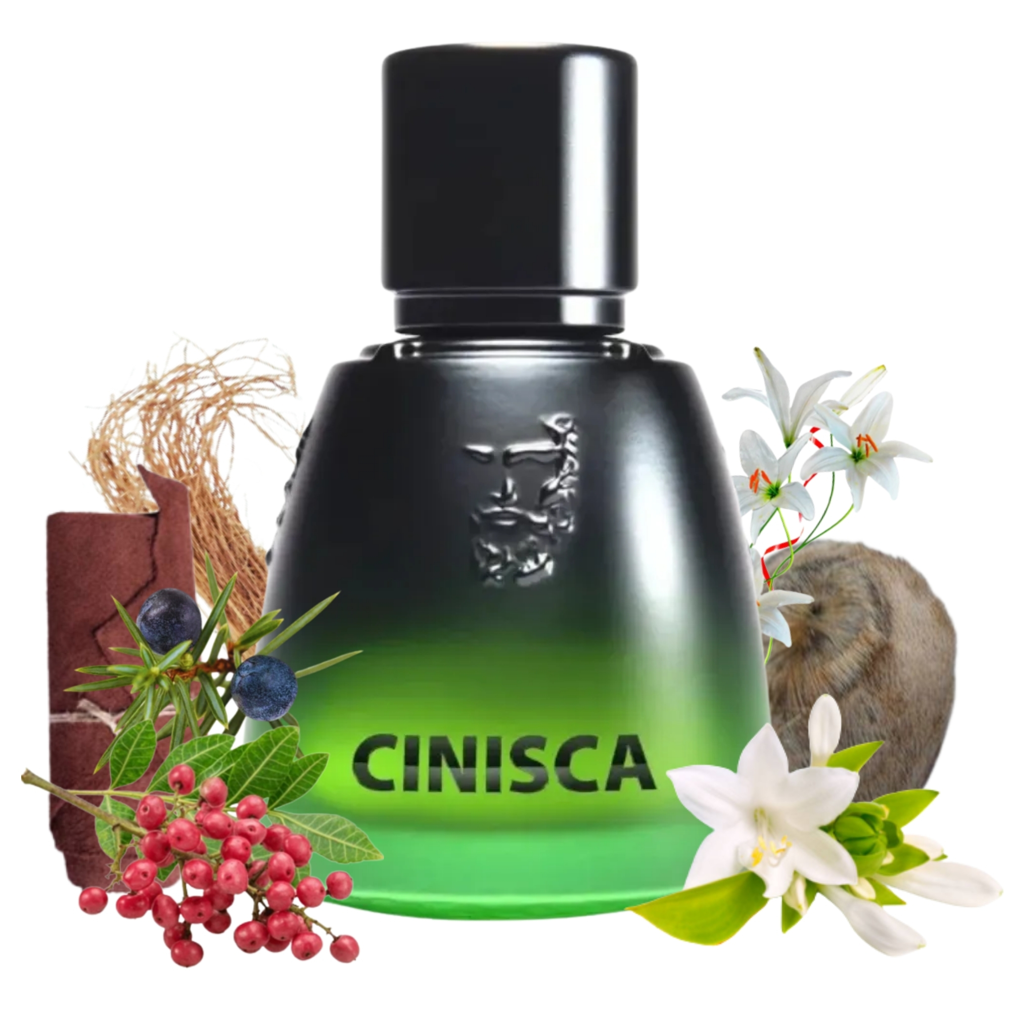 Cinisca