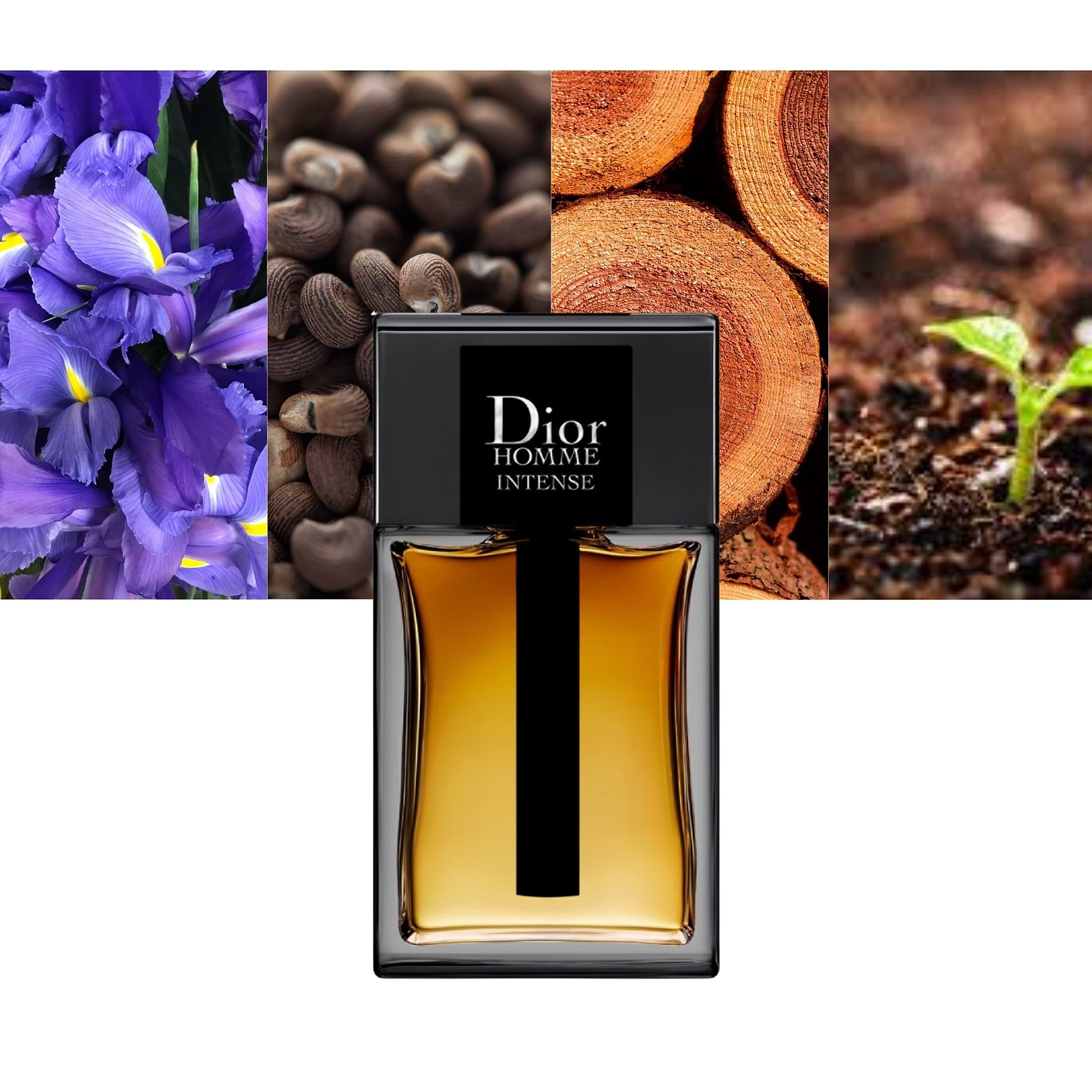 Dior Homme Intense