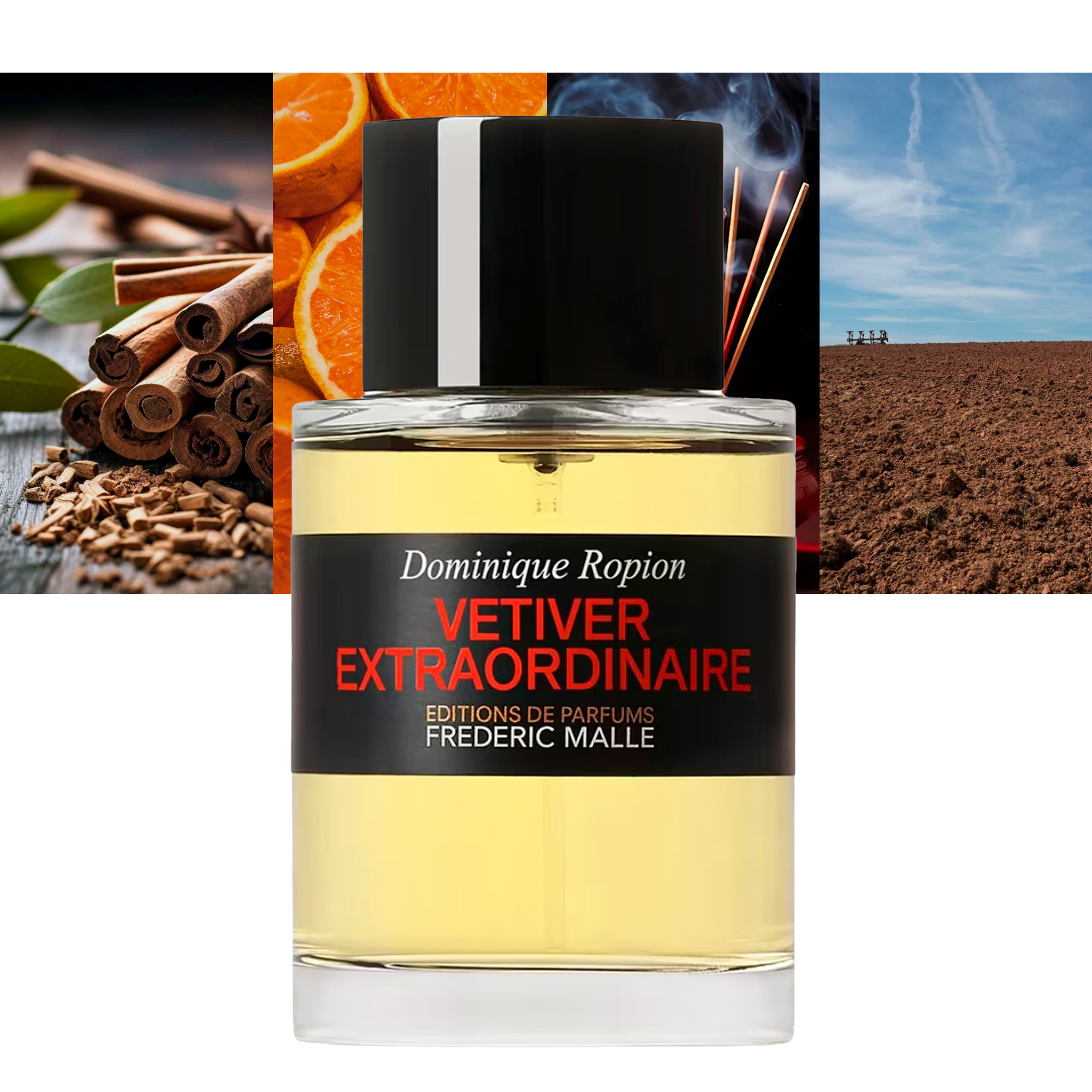 Vetiver Extraordinaire