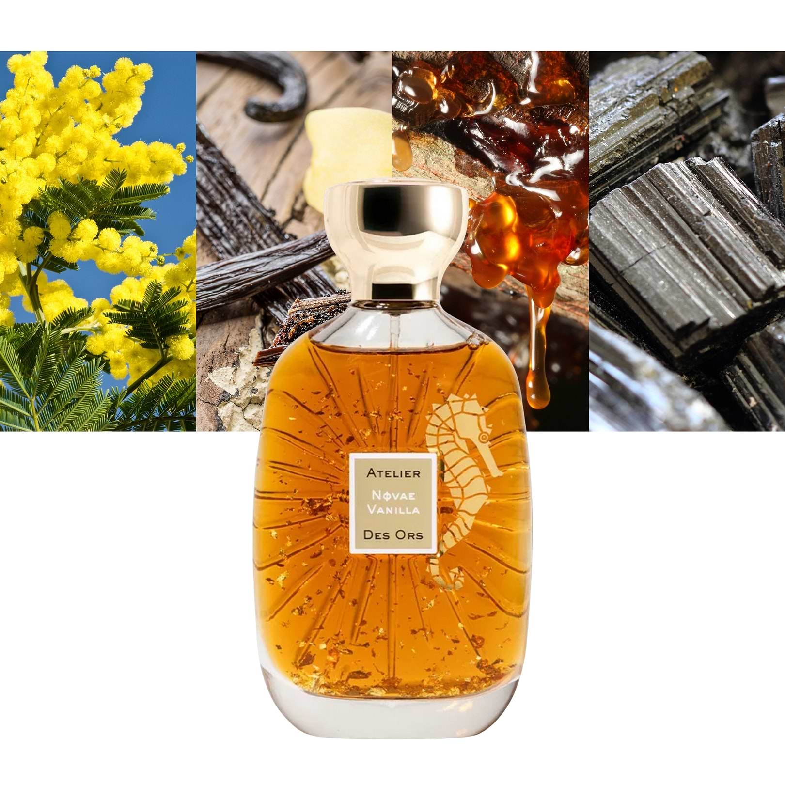 Novae Vanilla
