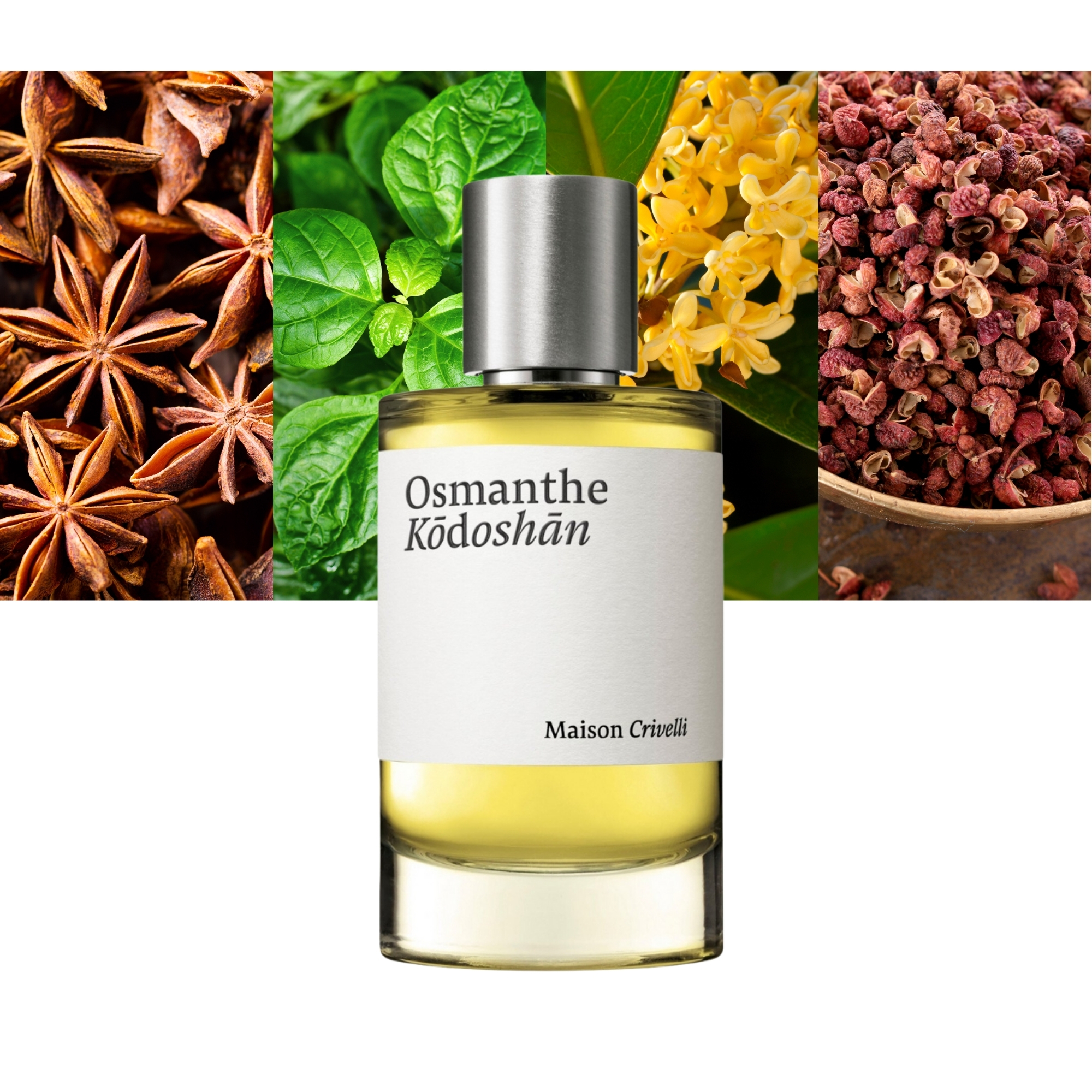 Osmanthe Kodoshan 