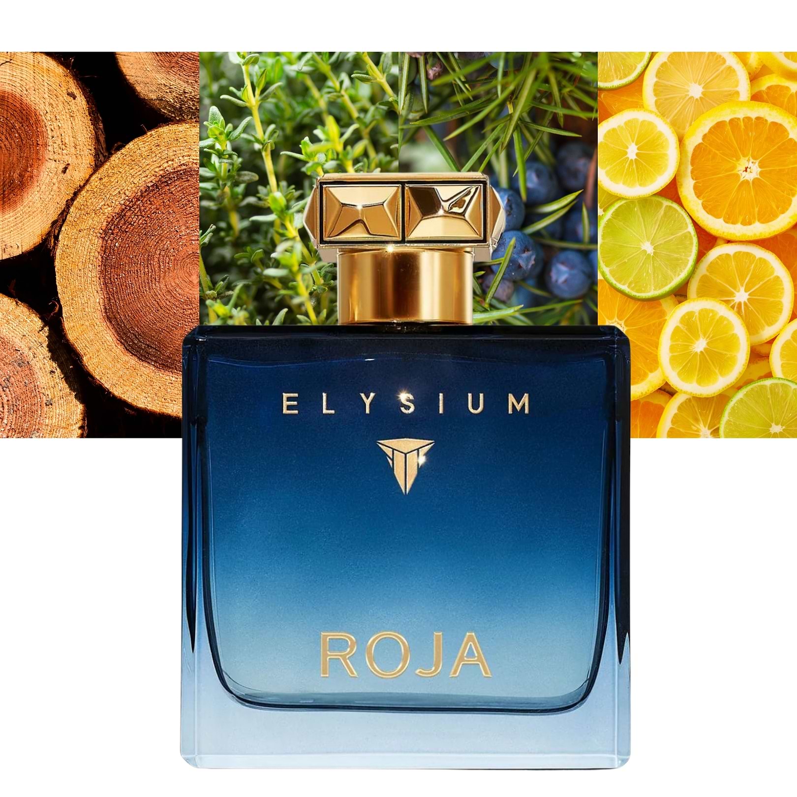 Elysium Pour Homme