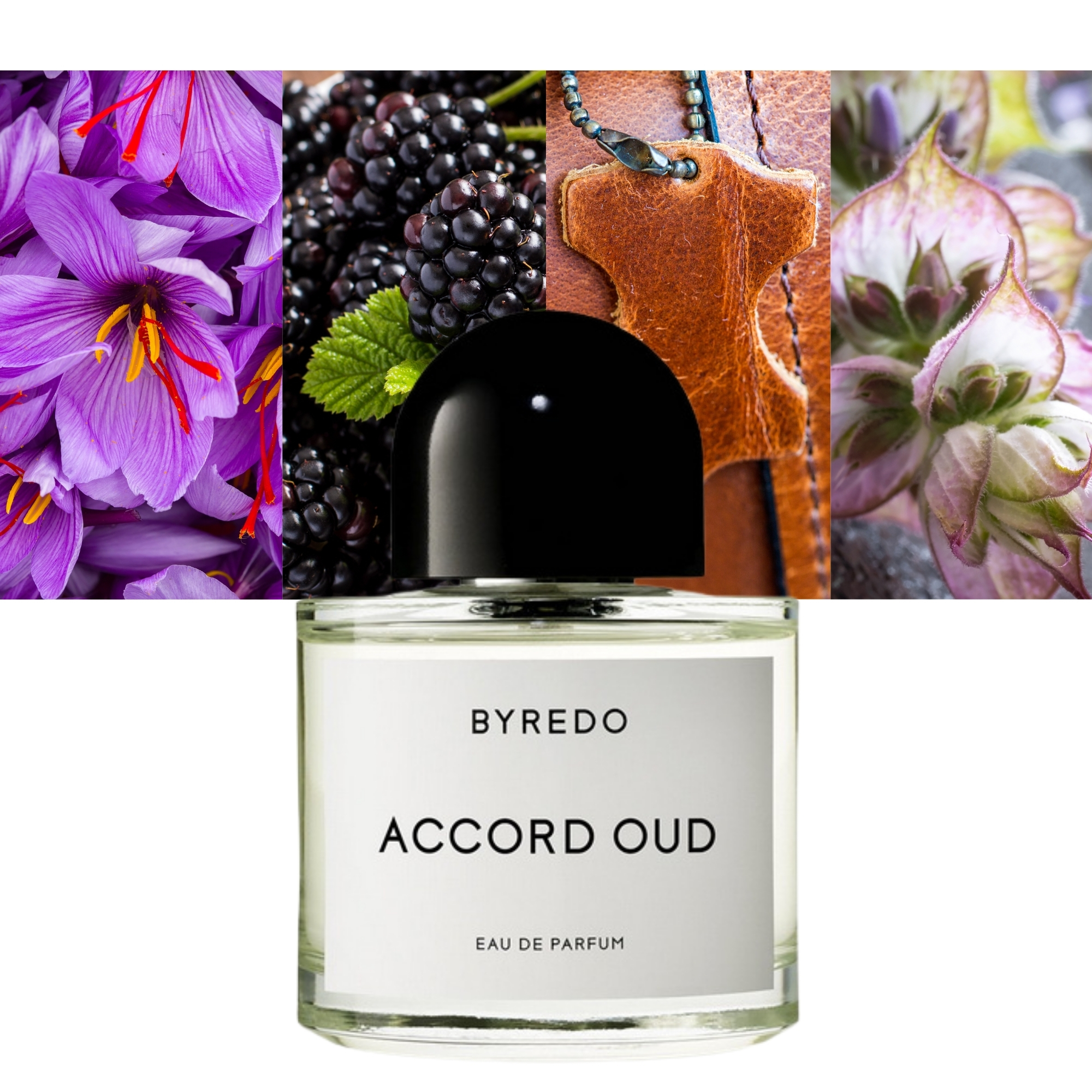Accord OUD