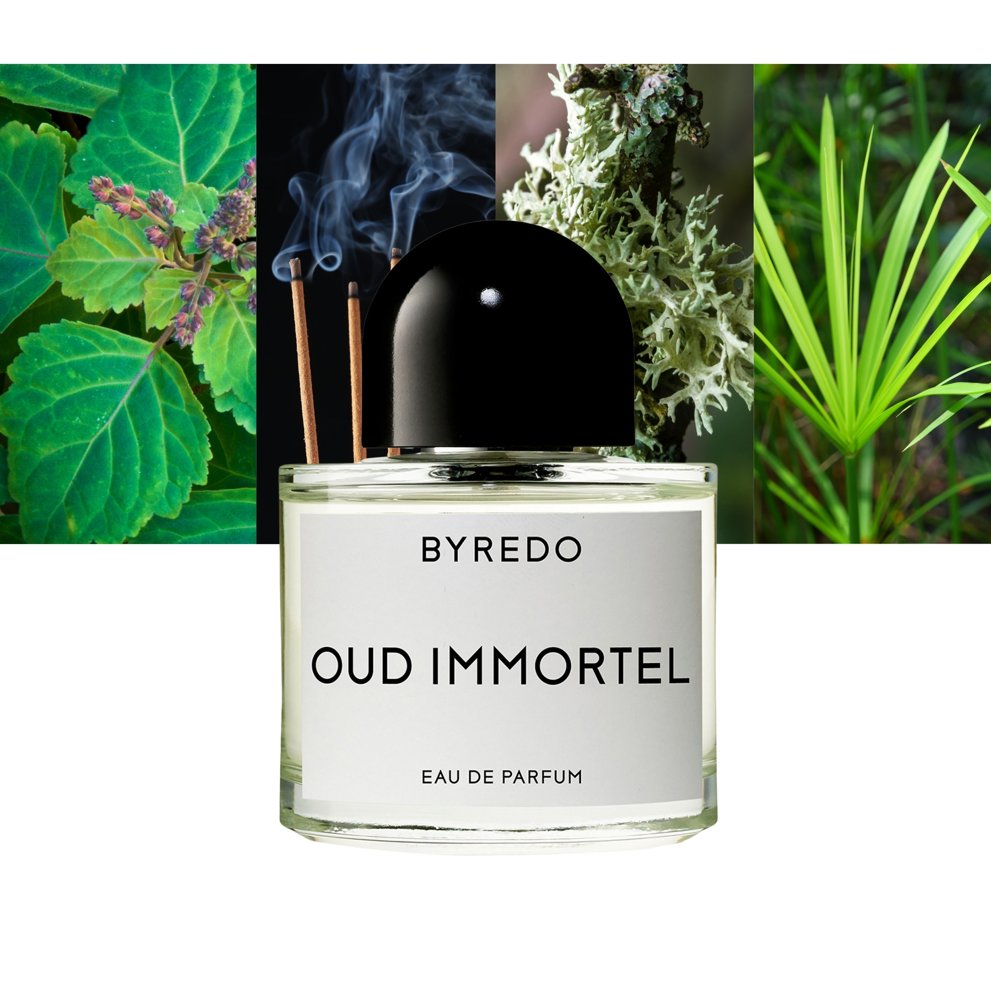 OUD immortel 