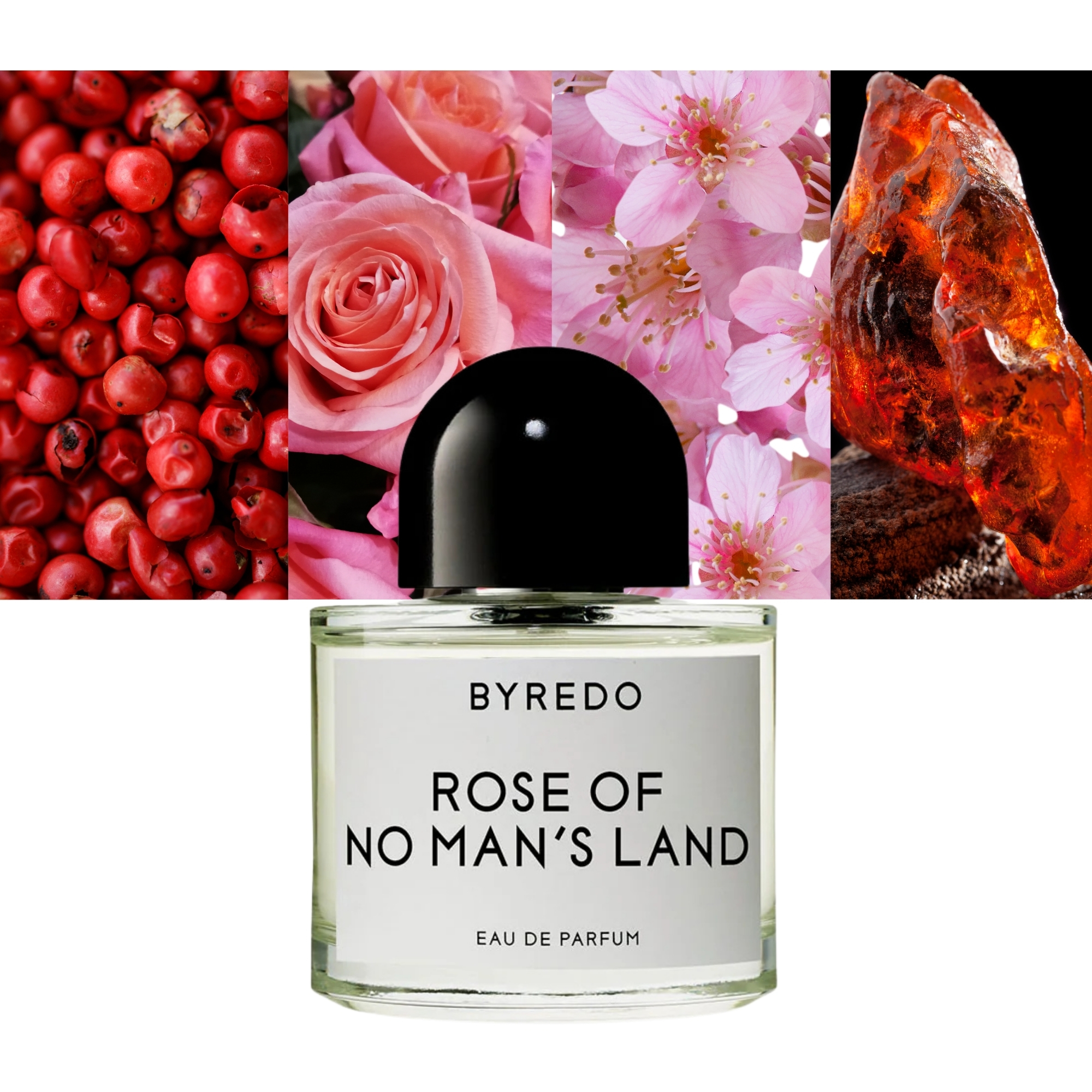 ROSE OF NO MANS LAND