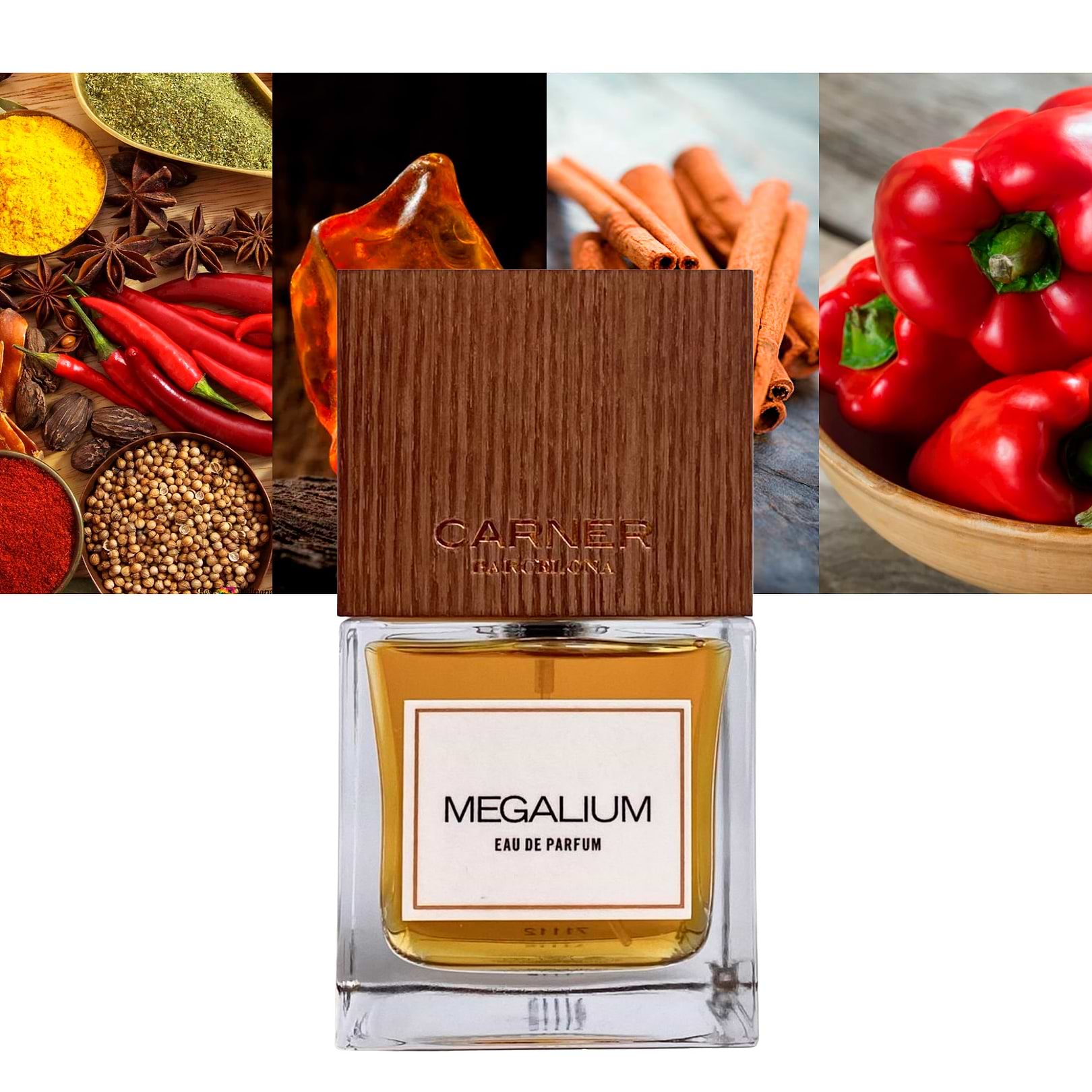 Megalium 