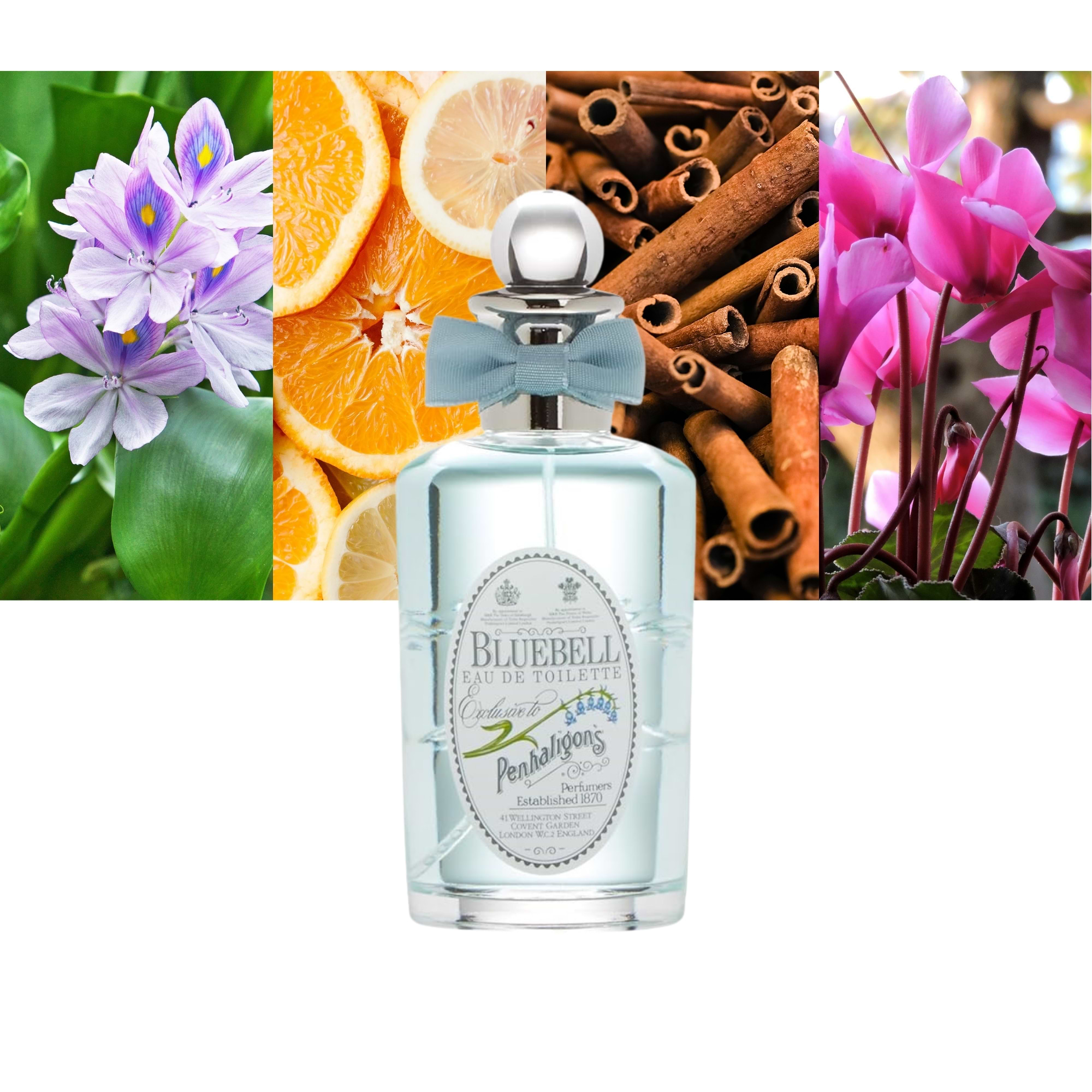 Penhaligon's Bluebell Cologne Bluebell Scent Description
