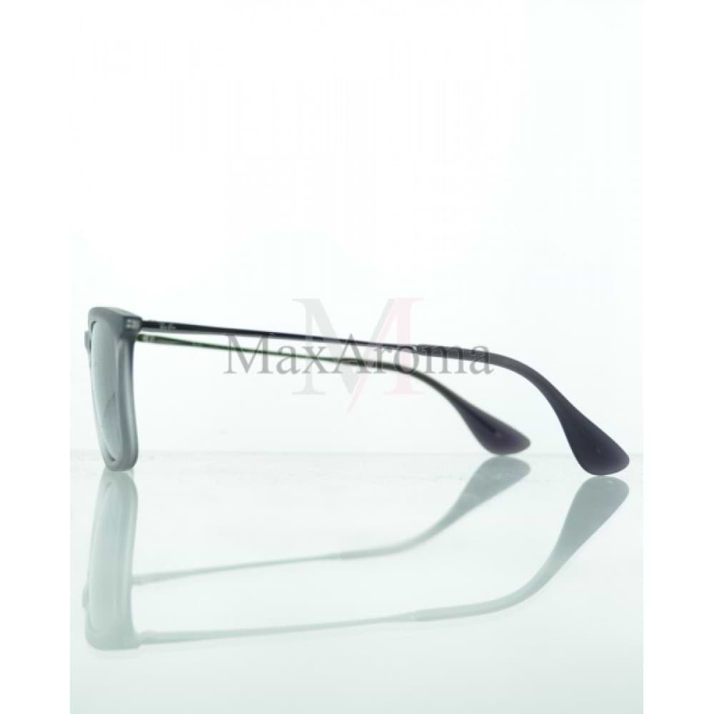 RB 4221 Sunglasses 