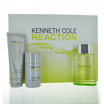 Kenneth Cole Reaction Gift Set for Men