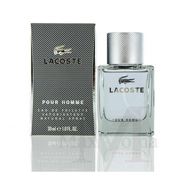 Lacoste Pour Homme by Lacoste(Grey)