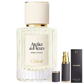 Chloe Atelier Des Fleurs Herba Mimosa