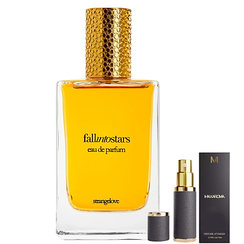 Strangelove NYC Fall Into Stars