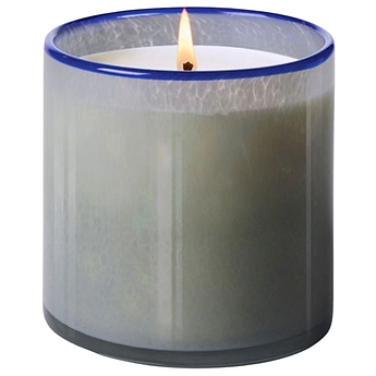 LAFCO New York Water Hyacinth 