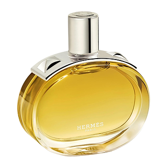 Hermes Barenia Intense