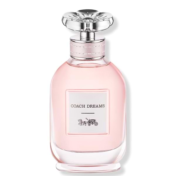 Coach Dreams 