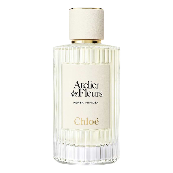Chloe Atelier Des Fleurs Herba Mimosa