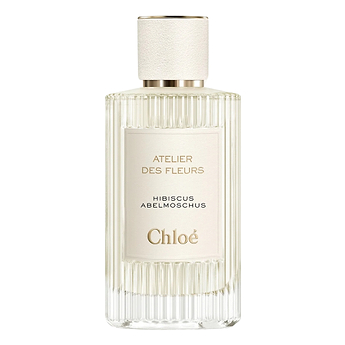 Chloe Atelier des Fleurs Hibiscus Abelmoschus