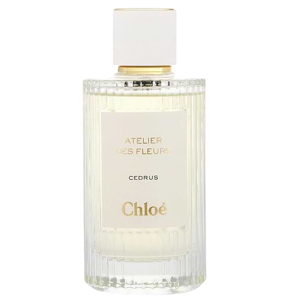 Chloe Atelier des Fleurs Cedrus