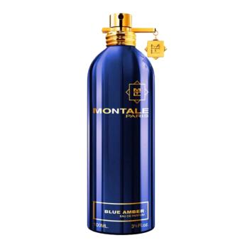Montale Blue Amber for Unisex