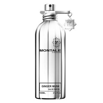 Montale Ginger Musk 