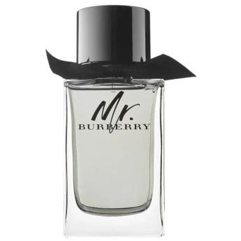 Burberry Mr. Burberry EDT