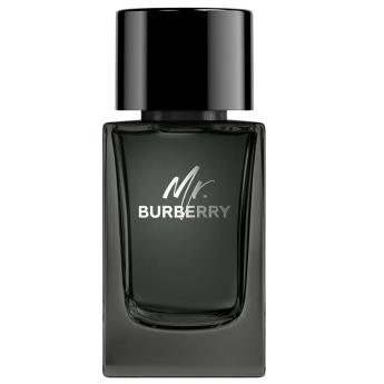 Burberry Mr. Burberry EDP