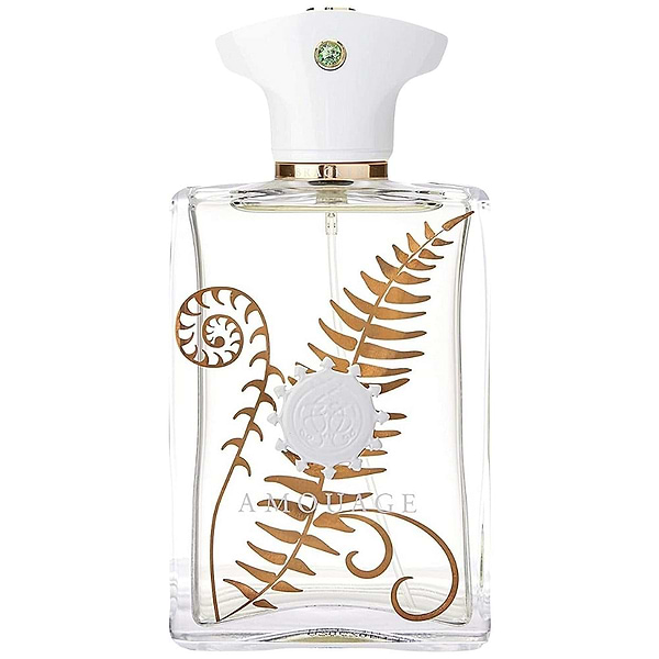 Amouage Bracken for Man