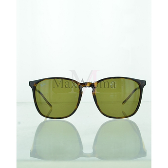 Ray Ban RB4387 Sunglasses