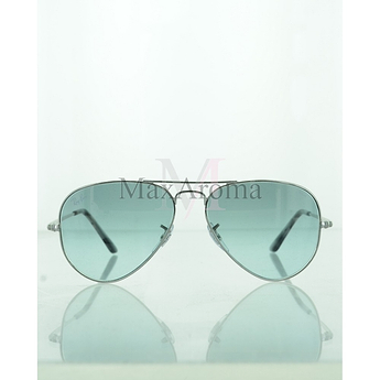Ray Ban RB3689 Evolve Sunglasses
