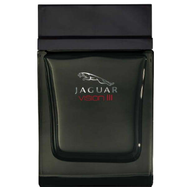 Jaguar Vision III
