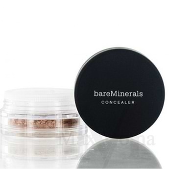 Bareskin Concealer