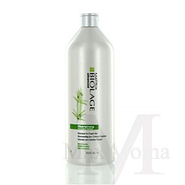 Biolage Fiberstrong Shampoo